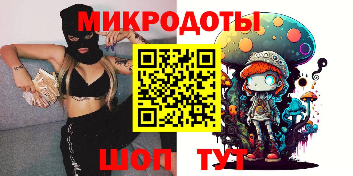 Псилоцибиновые грибы Psilocybe Курчатов
